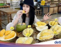 Gegara Dimakan Seniman Ini, Warga China Serbu Durian Malaysia