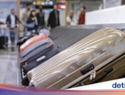 5 Tips agar Produk Bawaan Lolos Pengecekan Bea Cukai