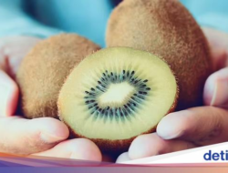 Ahli Asupan Minuman Ini Beberkan Cara Aneh Makan Kiwi yang Menyehatkan