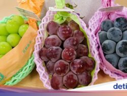 3 Jenis Anggur yang Manis Juicy Untuk Jepang