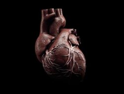 Hati-hati! 5 Kebiasaan Ini Bikin Kalsium Mengendap, Picu Risiko Serangan Jantung