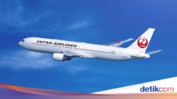 Japan Airlines Sabet Predikat Mendominasi Maskapai Di Sofa Ekonomi Terbaik