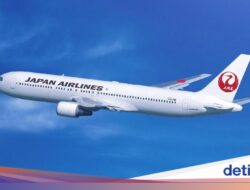 Japan Airlines Sabet Predikat Mendominasi Maskapai Di Sofa Ekonomi Terbaik