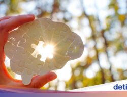Bukan Cuma Sebagai Usus, 6 Konsumsi Fermentasi Ini Jaga Otak Tetap Sehat