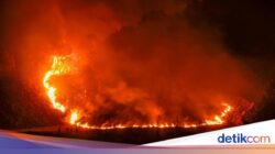 Kebakaran Meluas Ke TNBTS, Upaya Pemadaman Terus Dilakukan