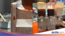 Kecoak Merayap Ke Dispenser Minuman, Netizen Soroti Kebersihan Restoran