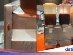 Kecoak Merayap Ke Dispenser Minuman, Netizen Soroti Kebersihan Restoran
