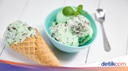 Wah! 3 Idol Korea Ini Ternyata Pendukung Es Krim Mint Chocolate Chip