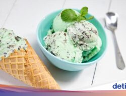 Wah! 3 Idol Korea Ini Ternyata Pendukung Es Krim Mint Chocolate Chip