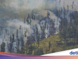 Kebakaran TNBTS, Akses Wisata Bromo Bersama Jemplang Ditutup