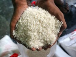 Mitigasi Dampak El Nino, Pemberian Beras Lanjut hingga Desember 2026