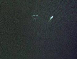 Bentuk-bentuk Misterius Tertangkap Perekamgambar Alat Lunak Google Earth
